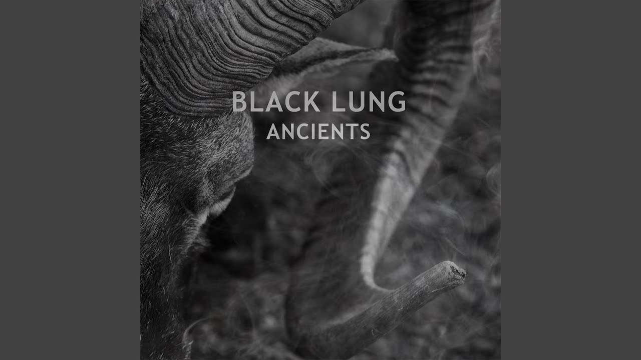 Watch Voices on YouTube Watch Voices on YouTube