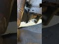 Lets learn parts of a car(behind the wheel)#automotive #educational #cars