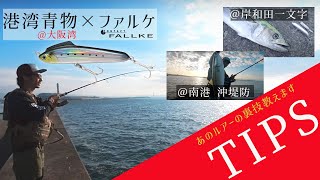 【TIPS】港湾青物と相性抜群「ファルケ」@大阪湾