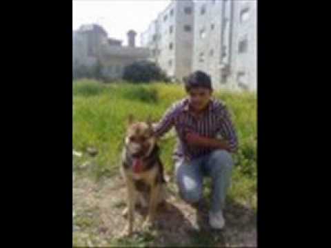 حبيبتي يا روحي   