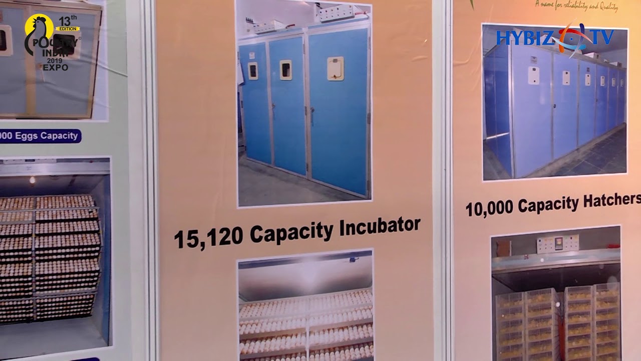 dicky incubators dicky incubators