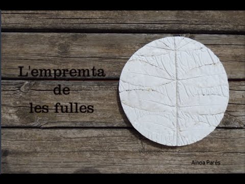 Vídeo: Desfer-se Dels Pugons De Les Fulles De Remolatxa