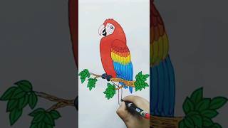 Beautiful Scarlet Macaw - Draw Easy -drawing tutorial  #drawingshorts #kidsdrawing #artshorts