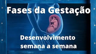 Como o bebê se forma ao longo de nove meses - Fases da Gestação, semana a semana. Como o bebê se forma ao longo de nove meses - Fases da Gestação, semana a semana.