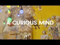 A curious mind