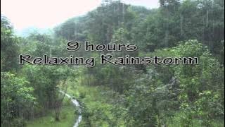 Heavy Rainfall  Thunder sounds(Sleep Relax Focus Meditate)HD 1080p