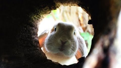 Digital Multimeter Accuracy Checks