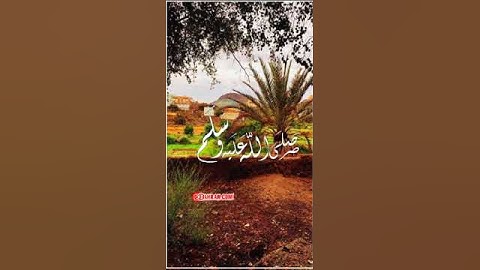 تلاوة جميله للشيخ عبدالإله بن عون