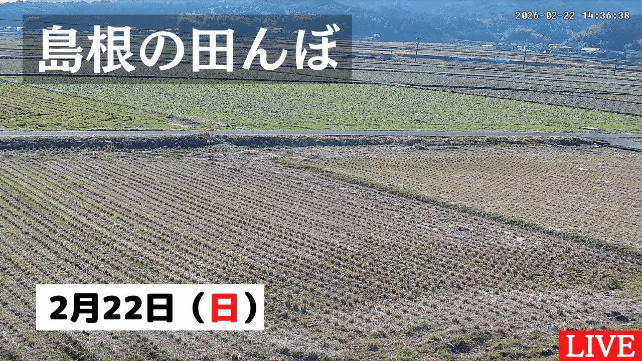 【2026/2/22】田んぼの様子をライブ配信！２４時間いつでも確認できます！｜自然 田舎 緑 癒し 島根県 八なお米穀店（はなお）
