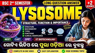 🔥 LYSOSOME Complete Explanation | Structure,Function in 1 video✅ | Notes & classes📝 #viral #yt #fyp