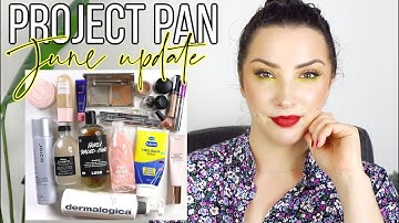 #teamprojectpan2021 June update