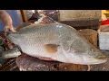 Fastest Big Bhetki Fish Cutting Skills In Fish Market | Fish Cutting Skills Bangladesh