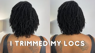 I TRIMMED my Locs | 2 year Microlocs Update | KendraKenshay