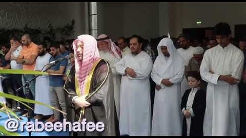 تلاوة خاشعة من سورة الإنسان - للقارئ: محمد ربيع الحافي