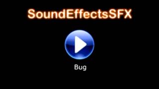 Bug  Sound effect