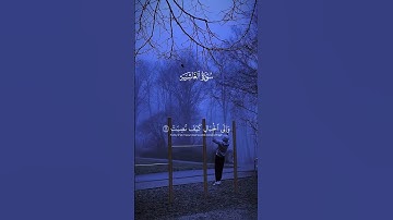 #اكتب_شي_تؤجر_عليه ❤️#قران_كريم#قرآن#تلاوات_خاشعة#راحة_نفسية#اكسبلور#تلاوة_هادئة#تلاوة_مميزة#ترند