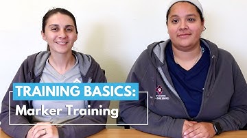 DOG TRAINING BASICS: Marker Training