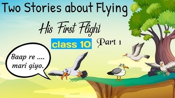 his first flight class 10 in hindi animation / two stories about flying class 10 part 1 in hindi