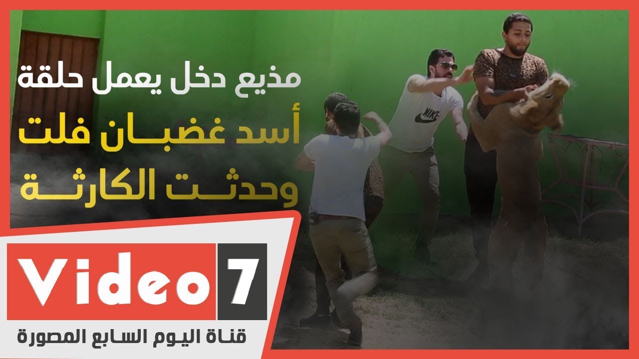 نسيوا يقفلوا الباب.. لحظة هجوم أسد غضبان على مذيع كاد أن يلتهمه بالكامل