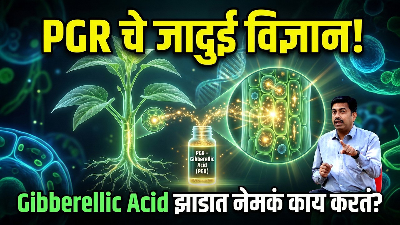 Plant Growth Regulator (PGR) पूर्ण माहिती | जिब्रेलिक ऍसिड कधी वापरावे आणि कधी टाळावे? | AgroStar