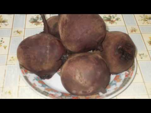 How to cook beetroot quickly and deliciously How to cook beetroot quickly and deliciously