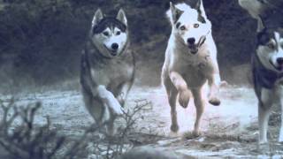 *HQ* Casper - Auf und davon *FULL VERSION* 320kbit
