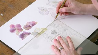 Sepal and Petal Practice Page (Hellebore and Tulip) - Preview - Billy Showell ⎮Watercolour Beautiful