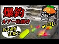 【鮭の爆釣ルアー仕掛け】周りが釣れない時に”コレ”で一人勝ち