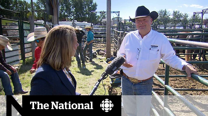 Alberta voters looking for change and influence af...