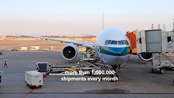 WCA – The World’s Largest Logistics Network