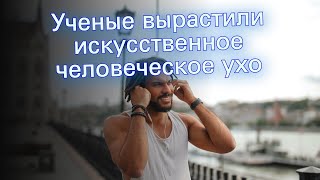 Ученые вырастили искусственное человеческое ухо