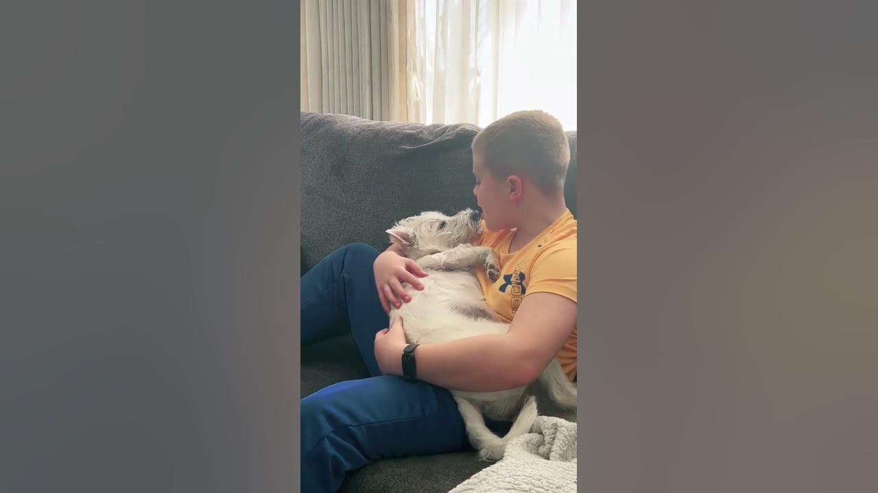 THIS DOG LOVES SKY FULL OF STARS ❤️🐶 [🎥: TikTok/ajenks1211]