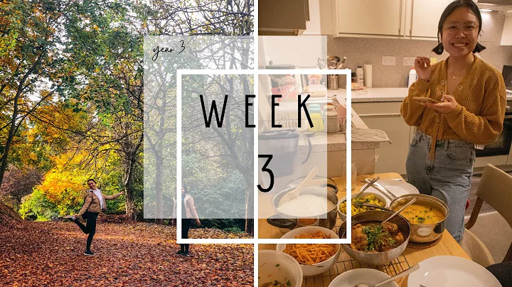 Presentations, Food + Elastic | Week 3 - UoD