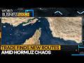 Hormuz Crisis Redraws Global Shipping Maps | World Business Watch | WION
