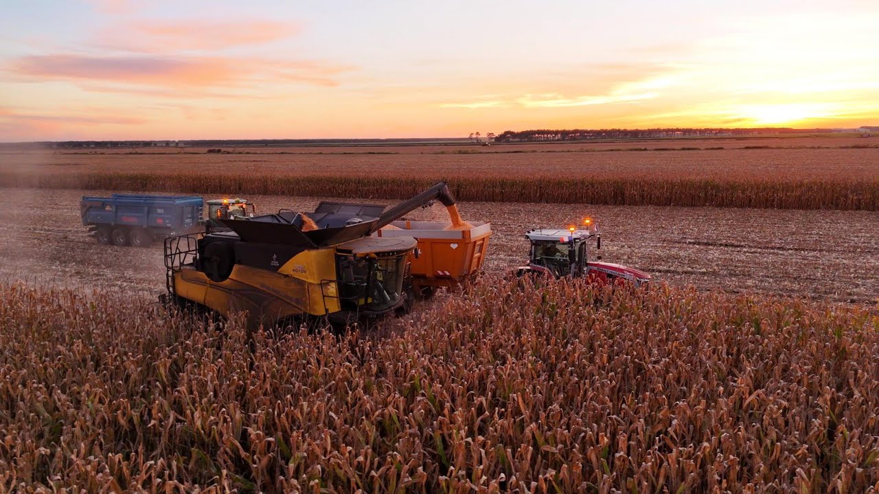 🌽 Moisson de Maïs 2025 dans le Médoc | SARL ETA ASservice au transport 