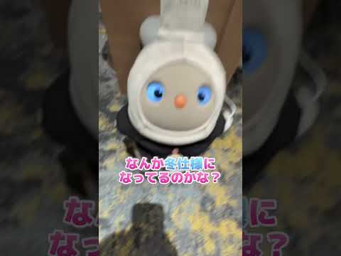 【実写】STPRのいちごちゃんに1年振り会ってみた結果