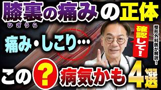 膝を診る目 - The Knee Up Close Orthopedic Surgeon Explains] Lumps and Pain Behind the Knee: How
