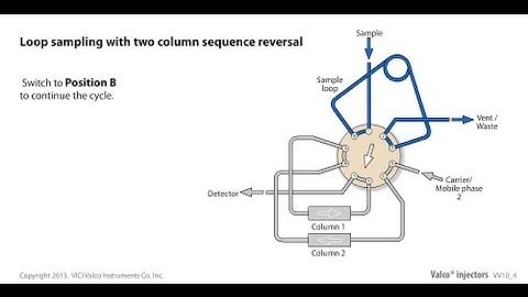 Valco loop sampling with two column sequence reversal
