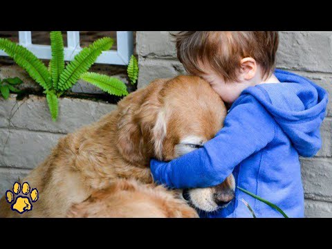 Video: Kai šiam berniukui reikėjo savo šuns labiausiai, jis įrodė, kad jis nebetinka lojalumo