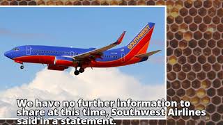Southwest Airlines pilot arrested after loaded gun is found in his carry-on bag