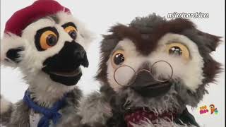 Zoomoo Latinoamérica Tandas Autopromocionales Mayo 2024