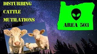 #45 Recent disturbing cattle mutilations in the Pacific Northwest and others from around the world.