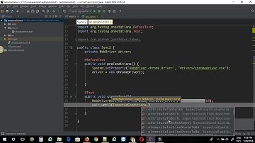 Custom explicit wait script with selenium and java lambda expressions.