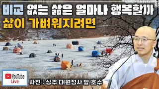 [돈오44] 비교가 없는 삶은 얼마나 행복할까, 삶을 가볍게 살려면