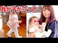 2018.04.01 子供のさくらが立った報告。【赤ちゃんの掴まり立ち】