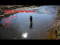 Perlmutt-Spoons am Bach – Fangen sie wirklich?