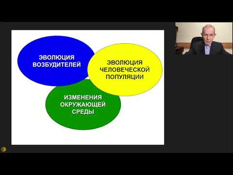 Видео: Нэмэлт үгсийн морфологийн задлан шинжилгээг хэрхэн хийх вэ