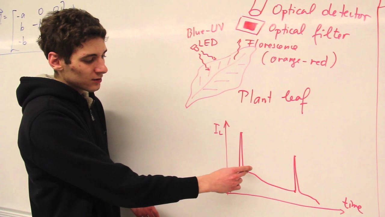VSRC - Growing Plants Under Electric and Magnetic Fields