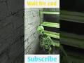 Granny #espace#comedu#shortsviral #video #grannychepter1,2,3 short#space graany short video