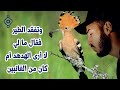 وتفقد الطير ما لي لا أرى الهدهد       
